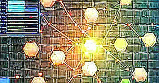 Anthropic Wants to Slow AI Down. The Ledger Already Gave It the Keys.