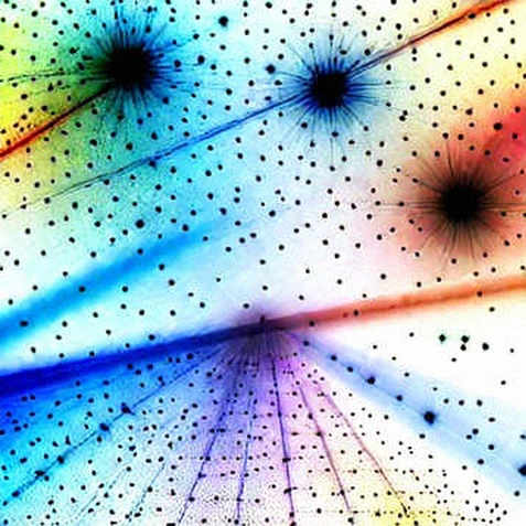 The 63% Signal: How AI-Generated Religion Books Are Rewriting Amazon's Trust Economy The 63% Signal: How AI-Generated Religion Books Are Rewriting Amazon's Trust Economy