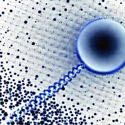 The Sirik Explosion and the Vulnerability of Trust: A Crypto Security Analysis of Geopolitical Disinformation The Sirik Explosion and the Vulnerability of Trust: A Crypto Security Analysis of Geopolitical Disinformation