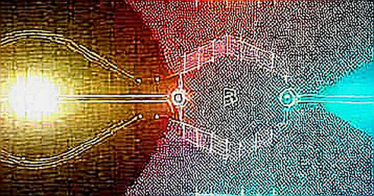 The Billionaire Short: Why Open Source Is the Silent Assassin of AI Valuations The Billionaire Short: Why Open Source Is the Silent Assassin of AI Valuations