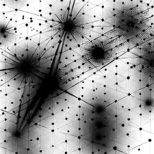 Movement Labs Chapter 11: The Speed of Trust Collapse Movement Labs Chapter 11: The Speed of Trust Collapse