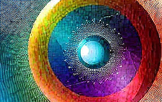 The Fed's 65% Certainty: What On-Chain Data Reveals About the Market's Brittle Consensus