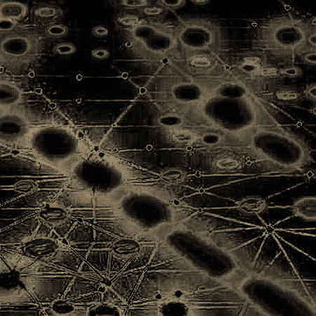 The Allegory of the Seized Monero: How One Ransomware Case Exposed the Illusion of Absolute Privacy The Allegory of the Seized Monero: How One Ransomware Case Exposed the Illusion of Absolute Privacy