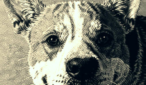Sonic's 13 Million S-Token OTC Transfer: The Information Black Box That Should Terrify You