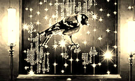 The 11,750 Ghost: Why a 23.7% Bump in ADP Data Won't Save Your DeFi Portfolio