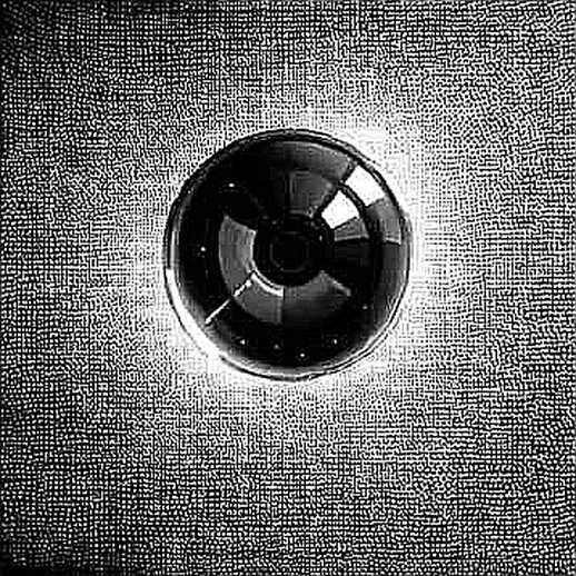 The Analytics Void: Why Empty Data Fields Are the Real Market Signal The Analytics Void: Why Empty Data Fields Are the Real Market Signal