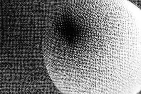 The HYPE 77.0 Signal: An Exercise in Structural Absence The HYPE 77.0 Signal: An Exercise in Structural Absence