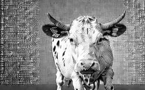 XRP at a Crossroads: Why Technical Analysis Misses the Real Story XRP at a Crossroads: Why Technical Analysis Misses the Real Story