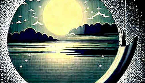 The Silence in the Signal: Reading the FLUX 3 Video Launch Through Its Omissions The Silence in the Signal: Reading the FLUX 3 Video Launch Through Its Omissions