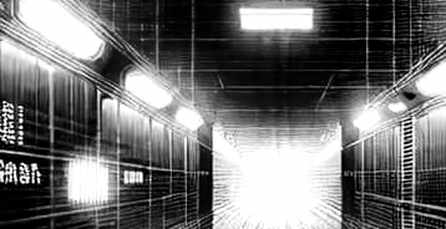 The Information Vacuum: Crypto's Loudest Bull Market Is Running on Its Quietest Data The Information Vacuum: Crypto's Loudest Bull Market Is Running on Its Quietest Data
