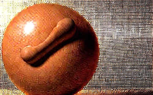 The Truth Coin That Wasn't: Dissecting the Anatomy of a Political Token Rumor