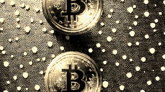 Athlete Meme Coins: The Coming Liquidity Crash Your FOMO Can't See Athlete Meme Coins: The Coming Liquidity Crash Your FOMO Can't See