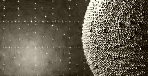 The Loudest Signal Is Silence: When Every Analysis Cell Reads N/A